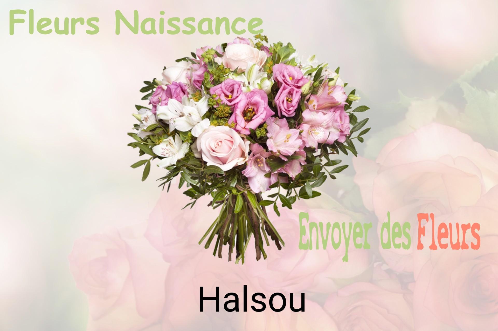 Bouquet de fleurs de naissance livré à Halsou